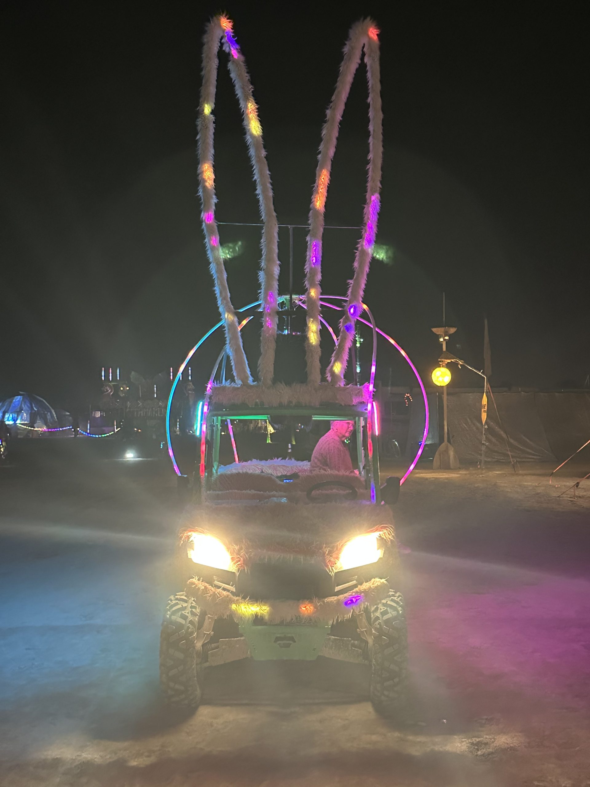 Mystic Rabbit wide angle